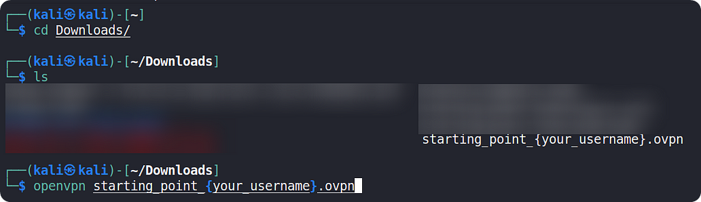 Screenshot of commands used in Linux to connect to OpenVPN