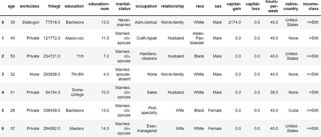 Sample data from the Adult dataset showing all the features