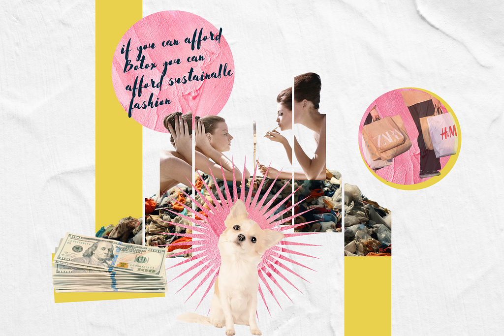 collage image of two women primping in the mirror and a dog tilting his head in confusion. Also shopping bags from fast fashion brands Zara and H&M and a stack of money. And the subtitle If you can afford Botox you can afford sustainable fashion