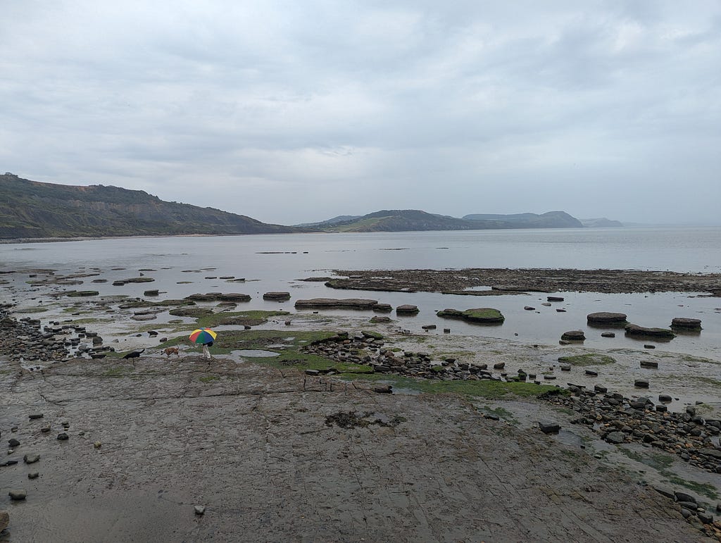 A view of the coast, with grey clouds, a mist coming in from the sea. In the foreground, a person with a rainbow umbrella is walking 2 dogs.