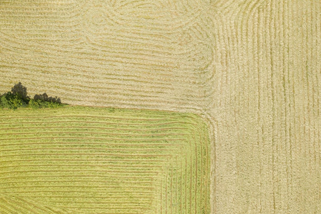 Birds-eye view of fields — Autonomous tractors and plant-level precision farming: how Europe’s farmers can leverage the power of AI, machine learning, and automation to feed a changing world