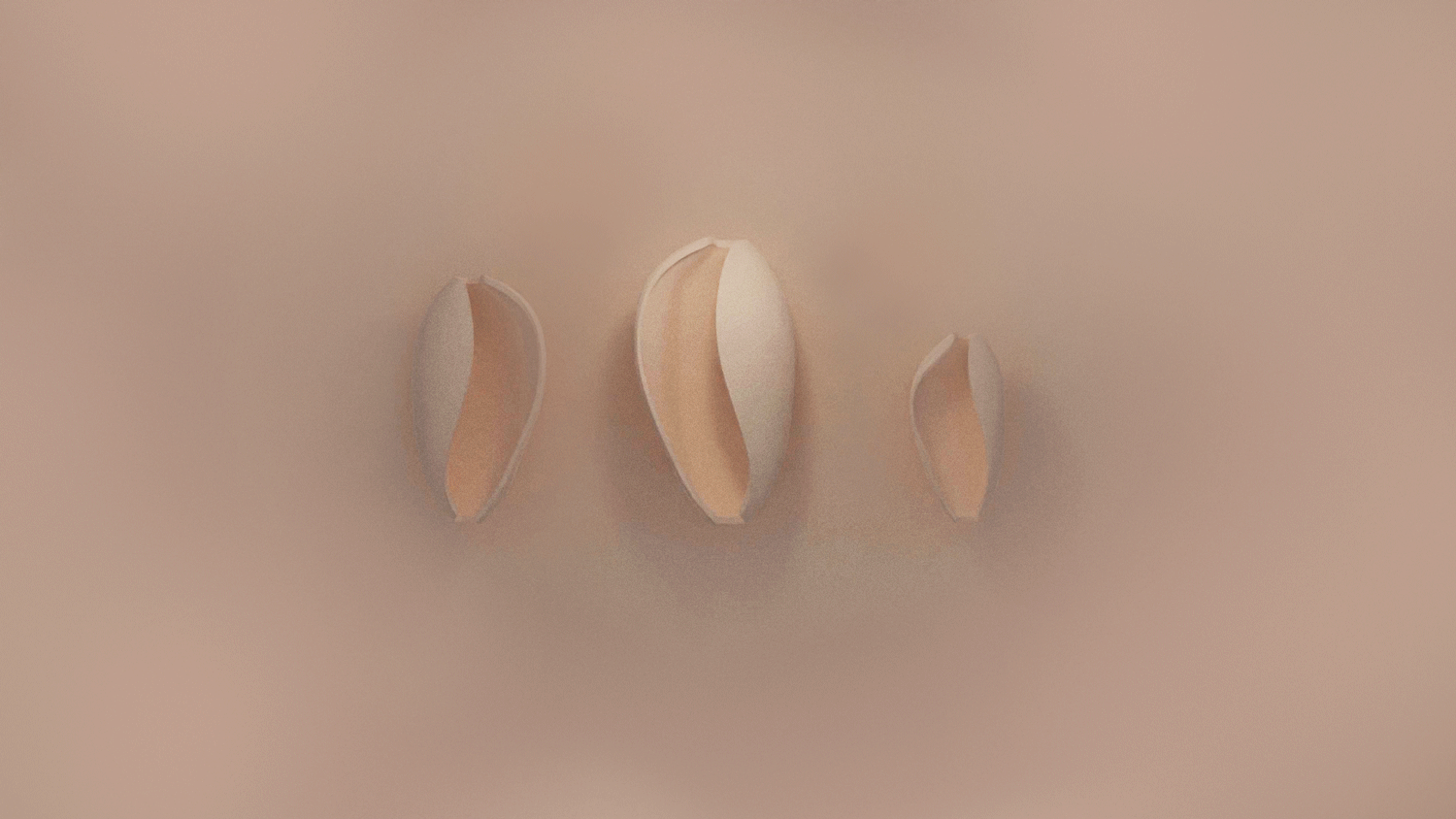 Three light pink abstract 3d objects similar to shells on a beige background rotating in loop on their vertical axis.