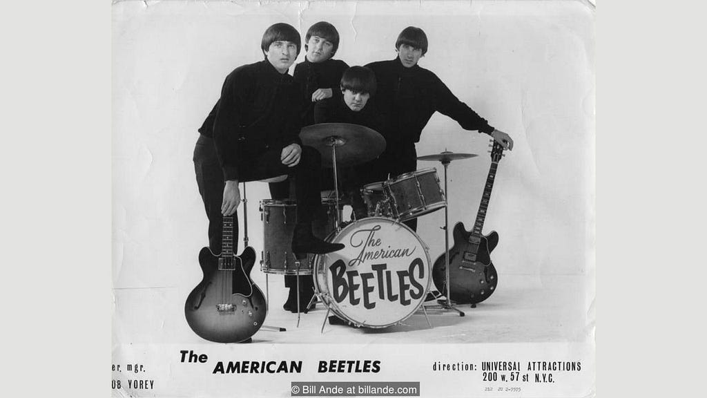 The American Beetles