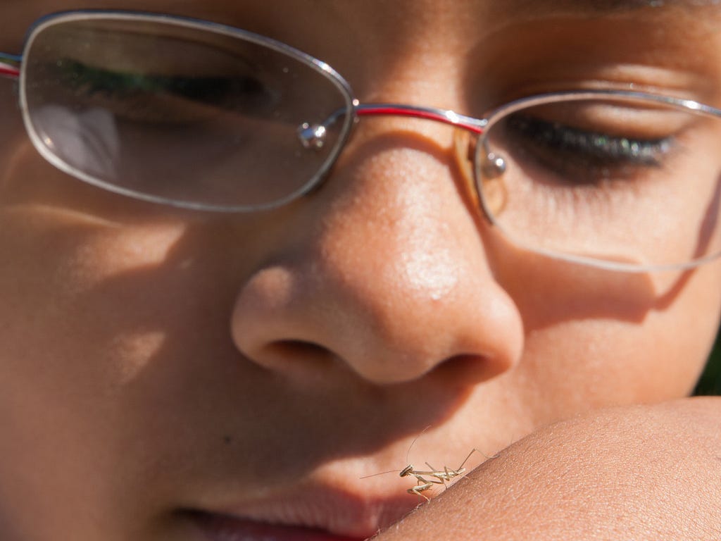 close up of young face with glasses looking at tiny preying mantis