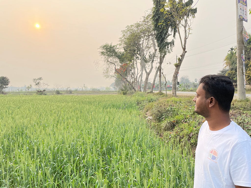 A man standing in a lush field of tall grass bordered by trees and a roadway looks skyward towards the sun blocked by haze.
