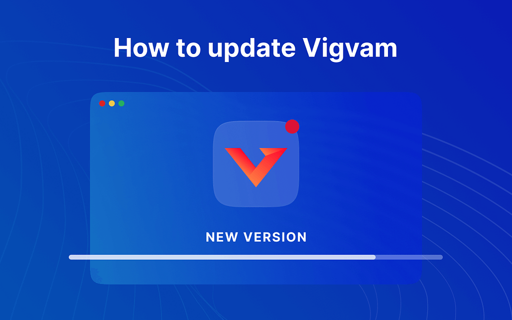 In this article, we describe several ways to update the Vigvam application.