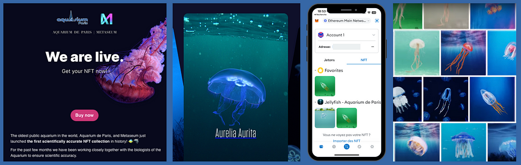 Quatre image les deux premières représentant des méduses, la troisième présentant une copie d’écran de smartphone montrant l’interface d’un Wallet avec des NFT de méduses et la quatrième un variété de méduses NFT qu’il est possible d’acquérir.