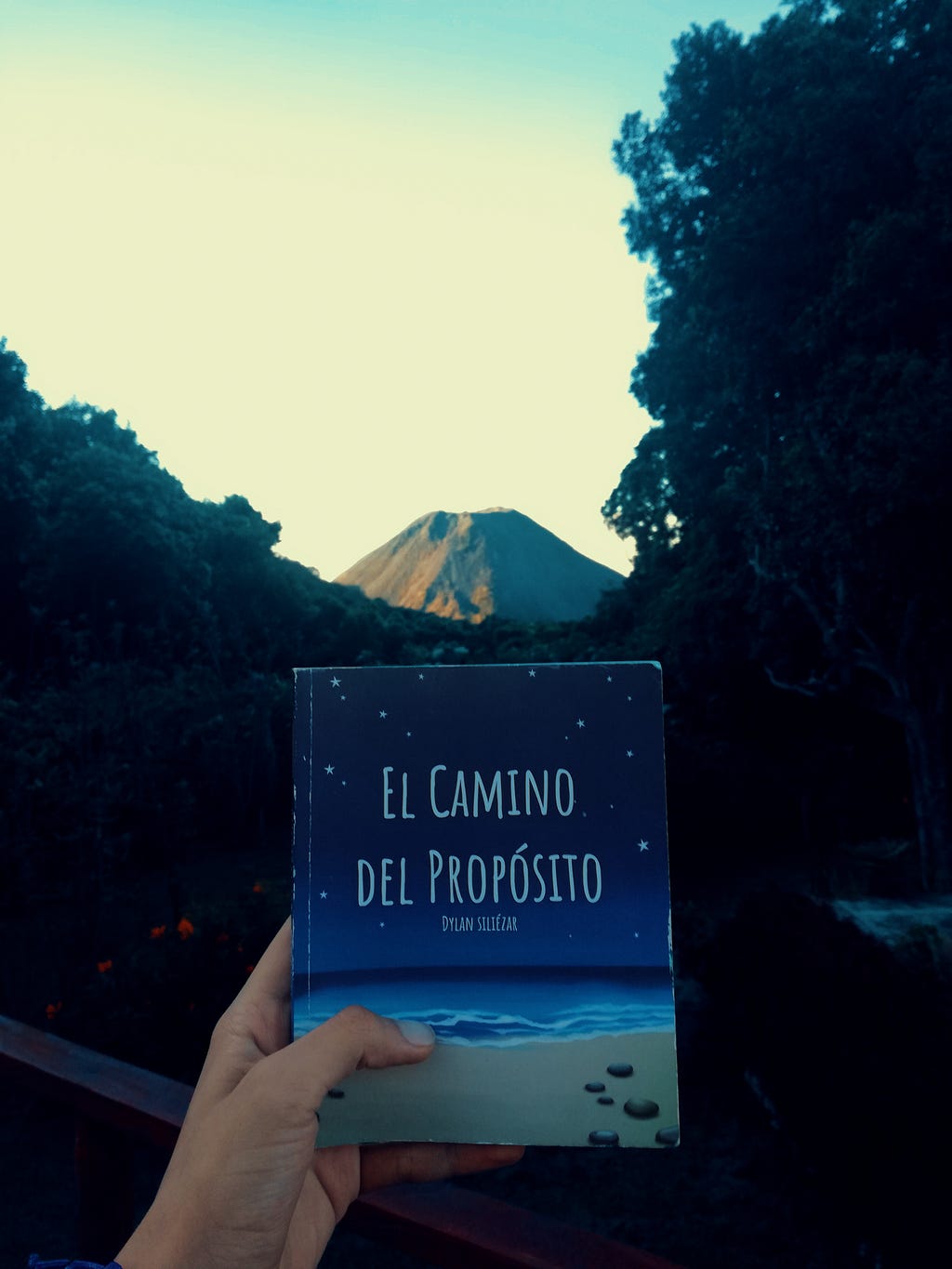 Libro El camino del propósito por Dylan Siliezar