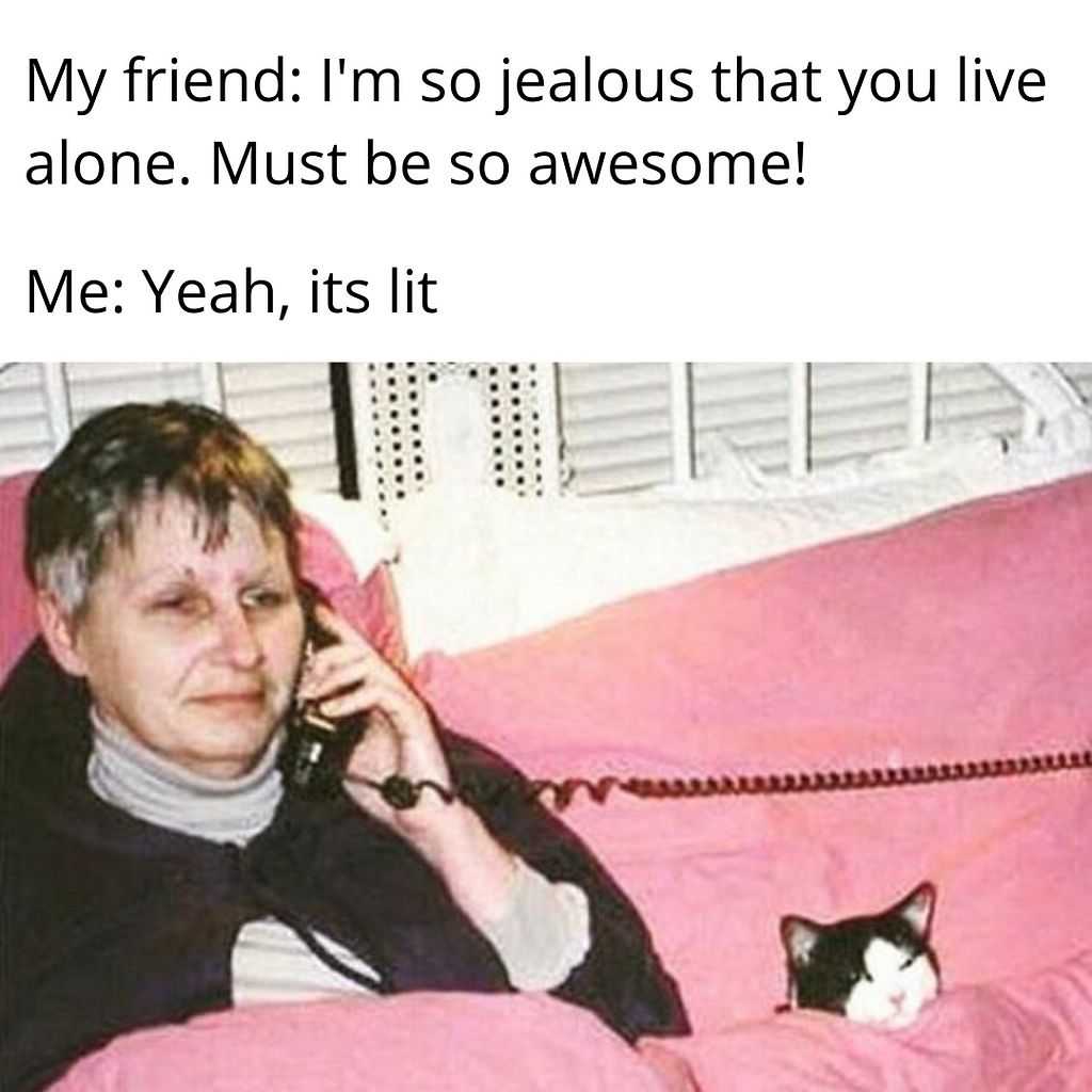 living alone meme