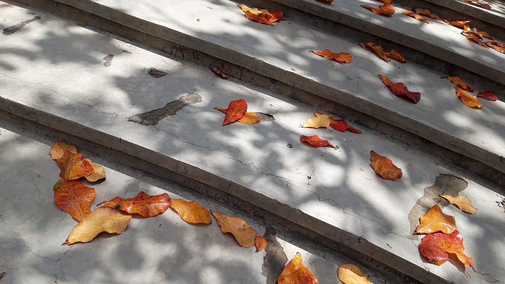 dry leaves on stairs