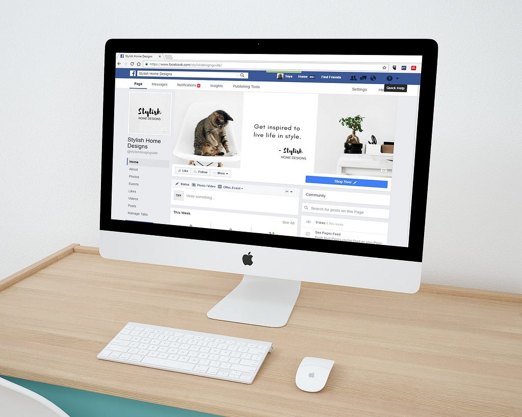 A desktop computer screen showing the facebook page of a cat