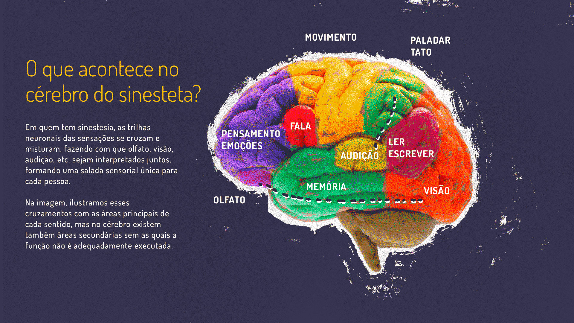 Titulo : O que acontece no cerebro do sinesteta? Ai lado um cérebro mudando de cores