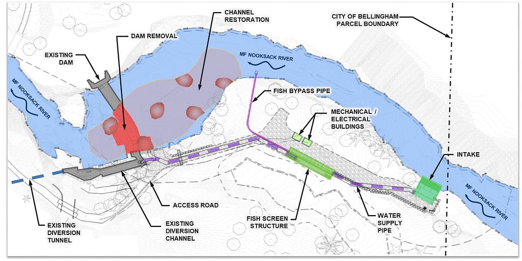 Graphic of the Middle Fork Nooksack River Fish Passage Project layout. Credit: City of Bellingham