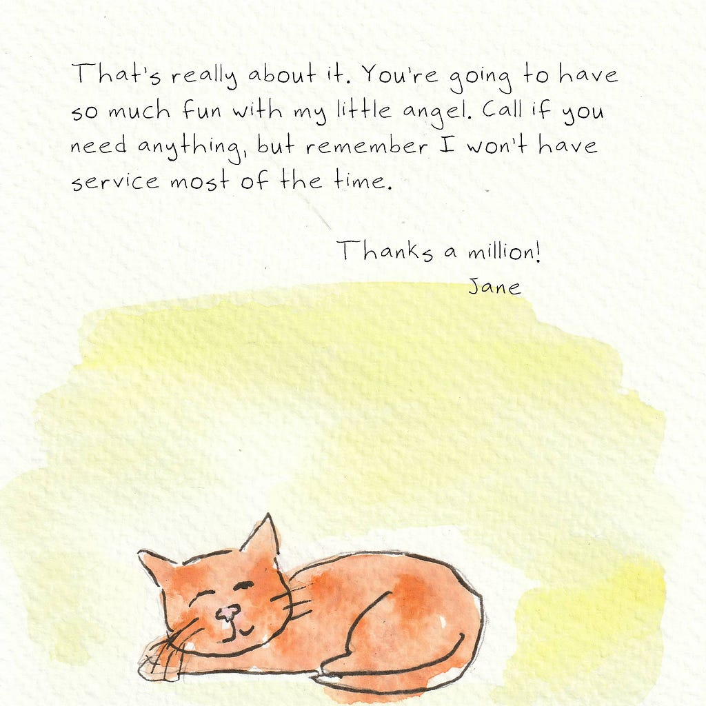 An orange cat lies, sleeping peacefully. Text reads: That’s really about it. You’re going to have so much fun with my little angel. Call if you need anything, but remember I won’t have service most of the time. Thanks a million! Jane