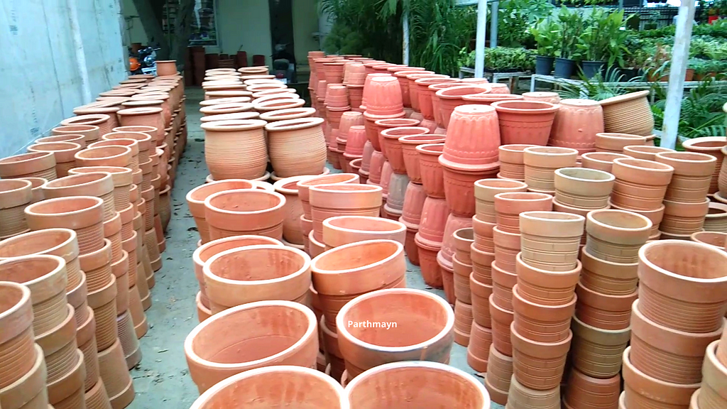 Terracotta container used to grow my butterfly pea plant