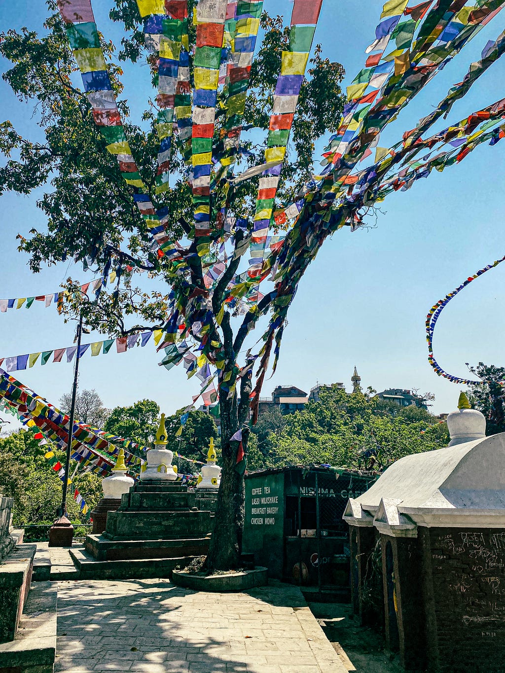 The tree where I said my prayer- Photo by Author