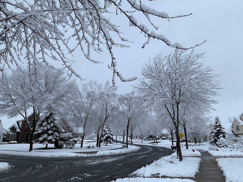A neighborhood after a snowstorm