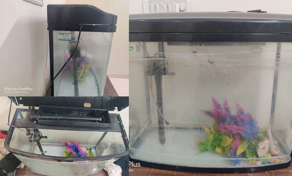 Image of a fish tank from 3 angles