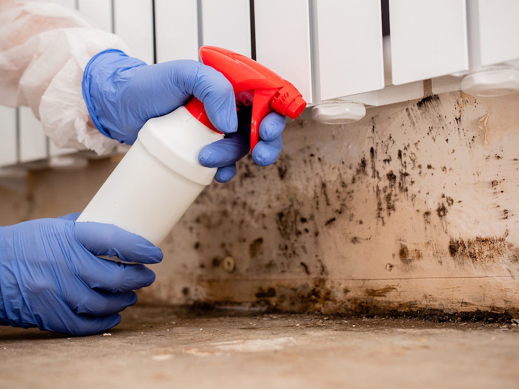 Common Mistakes to Avoid in Mold and Mildew Removal