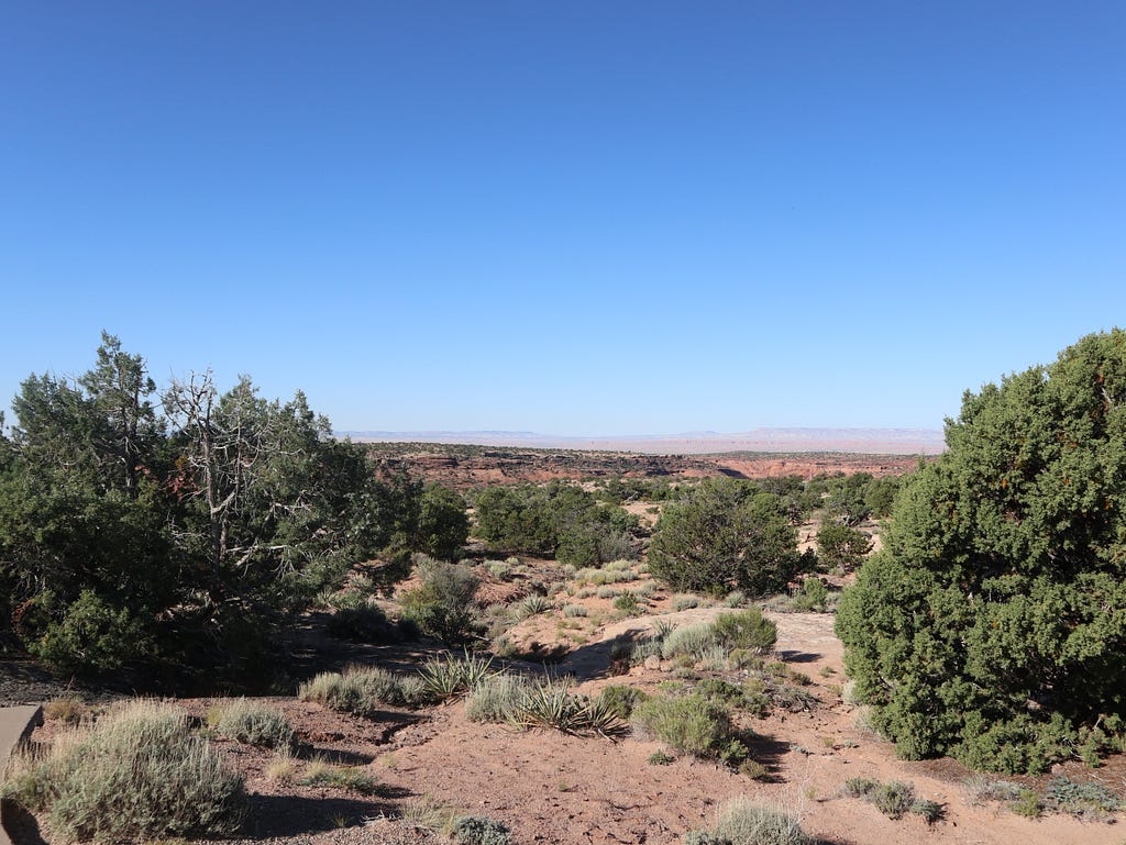 A landscape image. The top half is a clear blue sky. The bottom is a far reaching landscape of reddish earth and green bushes, and other smalller grasses.