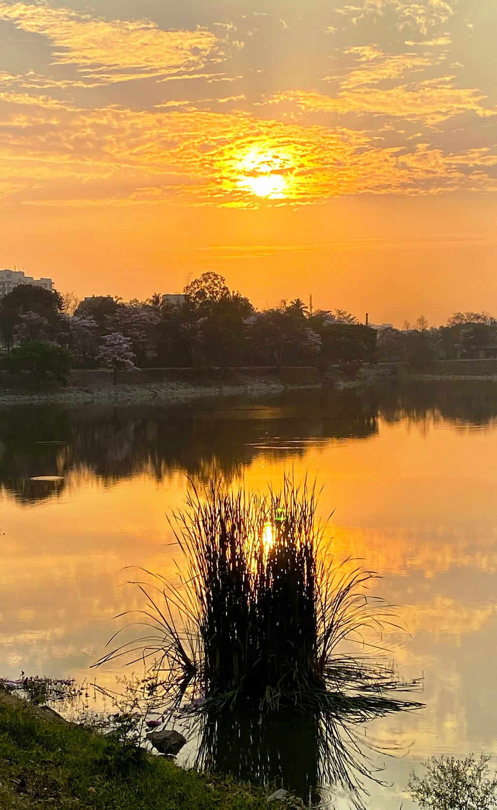 Sunrise over a lake