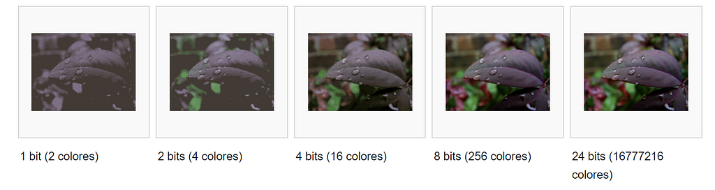 En la imagen se puede ver la diferencia de colores entre 5 ejemplos de bit. La primera imagen hace referencia al uso de 1 bit (2 colores), 2bit (4 colores), 4 bit (16 colores), 8 bits (256 colores) y 24 bits (16777216 colores)