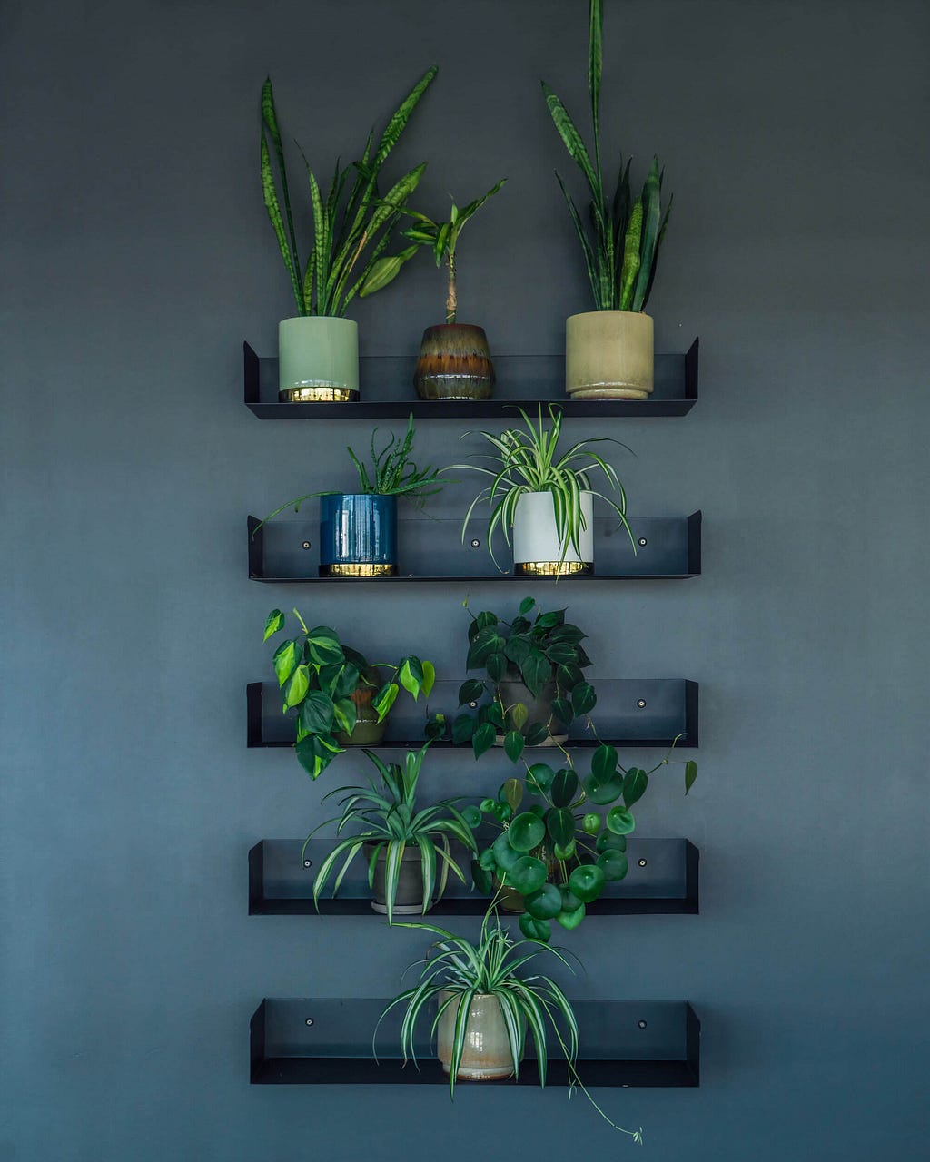 Different plant textures and pot types create a contrast with the stark metallic lines of the shelves.