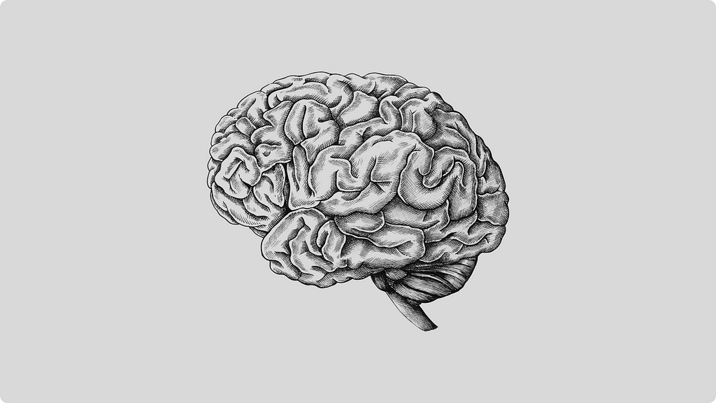 Desenho de um cérebro humano em preto e branco.