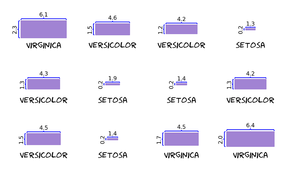 Representação do catálogo. Há 3 virginicas, e elas têm as maiores pétalas. Depois tem 5 versicolors, e 4 setosas, as menores.