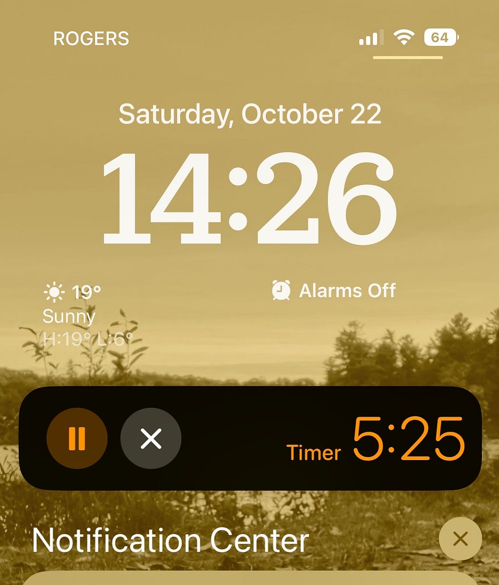 A picture of an iPhone home screen, with a timer widget counting down.