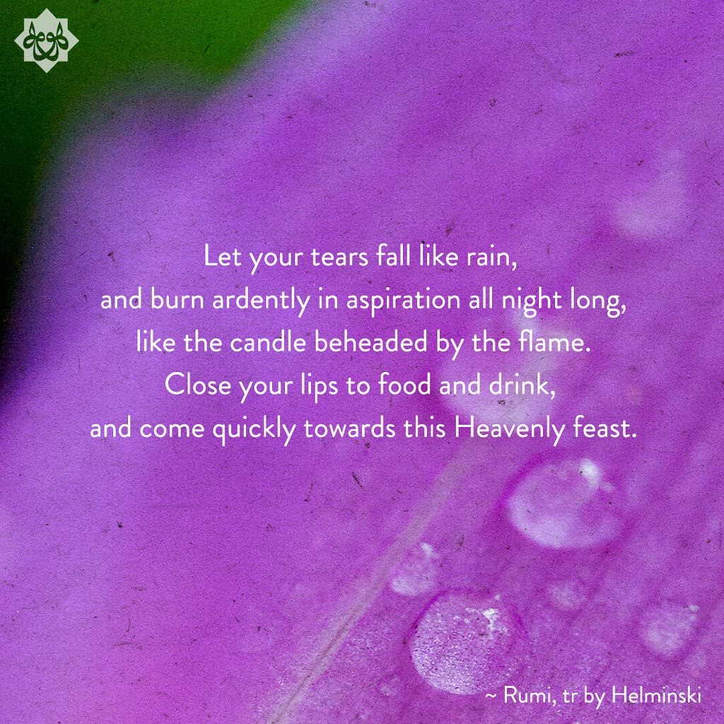 Close-up of purple petal with water drops, text reads: Let your tears fall like rain, and burn ardently in aspiration all night long, like the candle beheaded by the flame. Close your lips to food and drink, and come quickly towards this Heavenly feast.