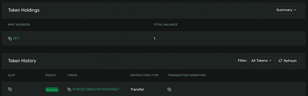 Screenshot of Solana Explorer showing an unexpected NFT token.