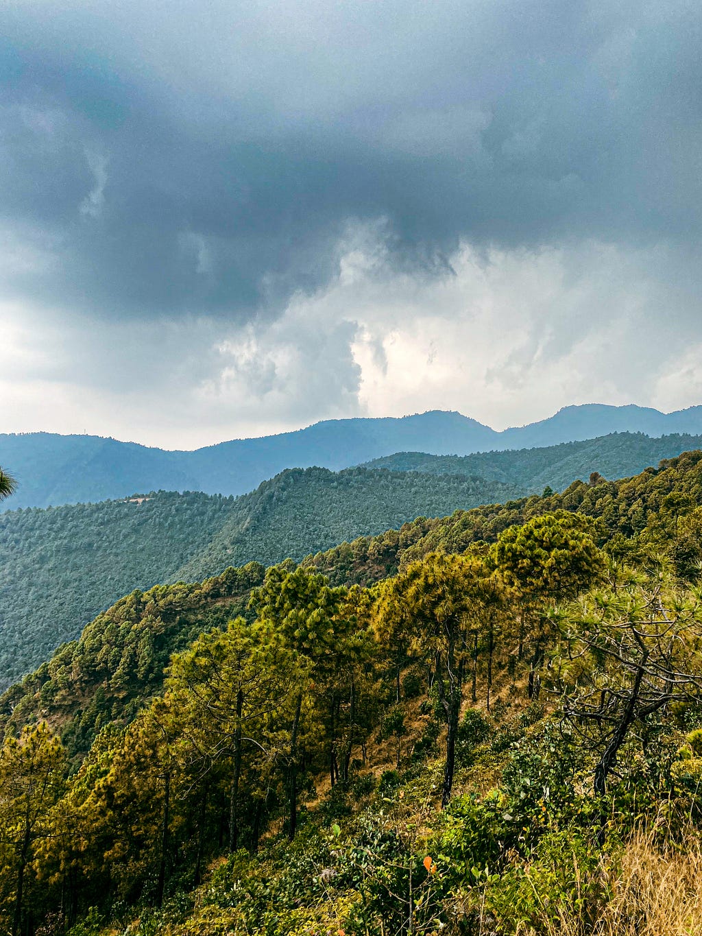 The foothills of the Himalayas seen from Hattiban. Photo by Author