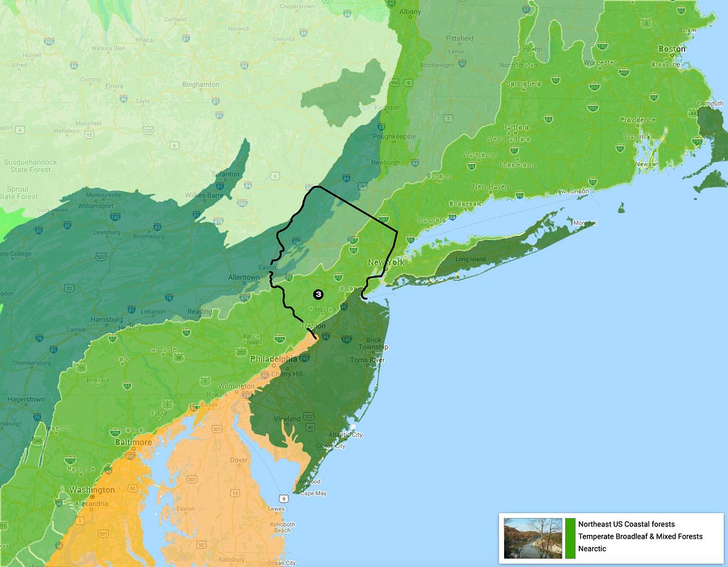 Northeast US Coastal forests eco-region map
