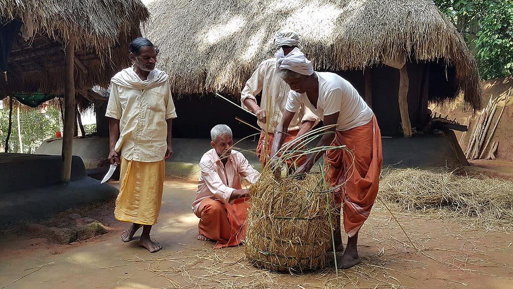 Kurichya farmers practice a unique method for preserving paddy seeds.