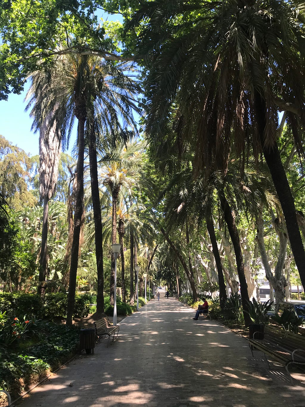 Parque de Malaga
