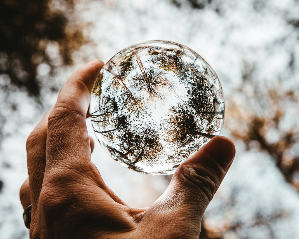 A glass ball held between thumb and forefinger showing distorted images of trees and branches.