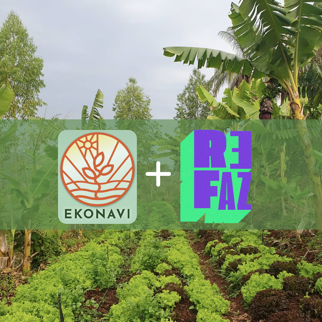 Earth Regeneration using methods such as Agroforestry is one of the missions of Ekonavi + ReFaz