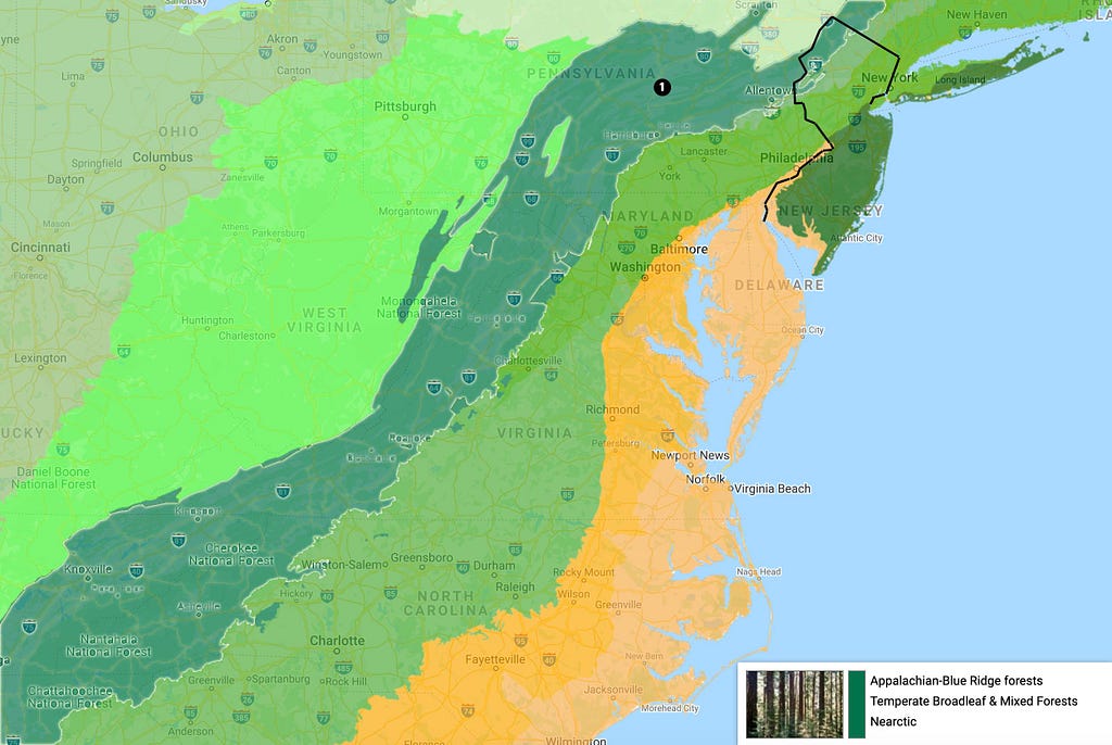 Appalachian-Blue Ridge forests region map