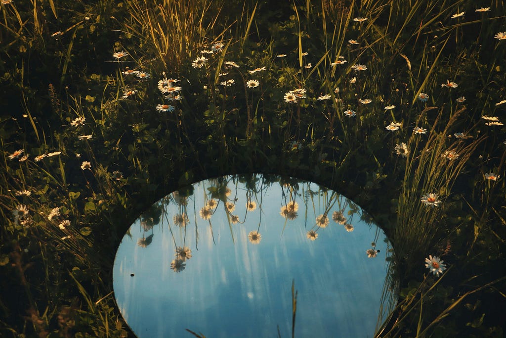 A clear puddle of water in a field, with flowers in its reflection