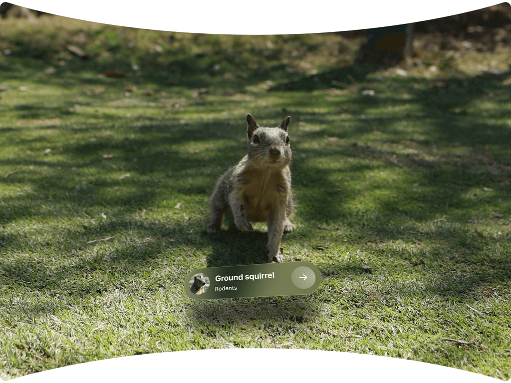 A park scene with a real ground squirrel on the grass, with an AR overlay identifying the species as ‘Ground squirrel’ in the Rodentia order.