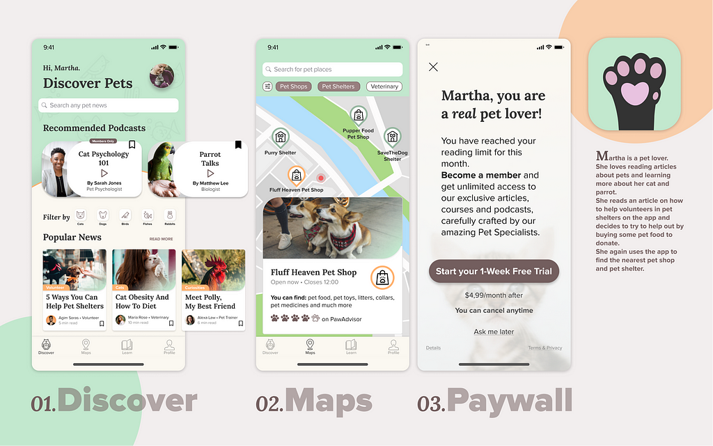 The final poster with Discover, Maps and Paywall screen and the app logo