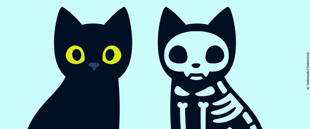 Imagem demonstra dois gatos, um todo preto, e outro como em um raio X expondo os seus ossos. Alusão ao experimento do Gato de Schrödinger.