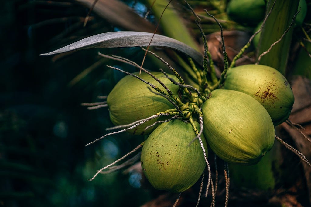 Benefits of Tender Coconut Water