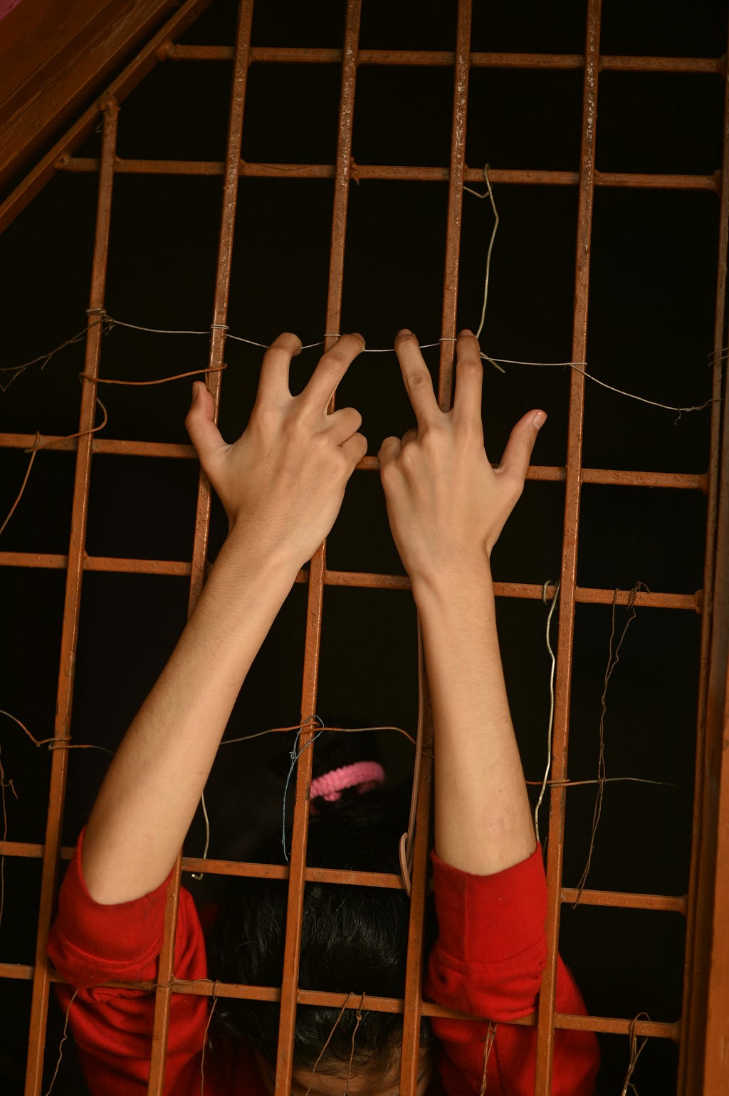 A South Asian woman stuck in a cage—metaphor for the societal pressure and expectations