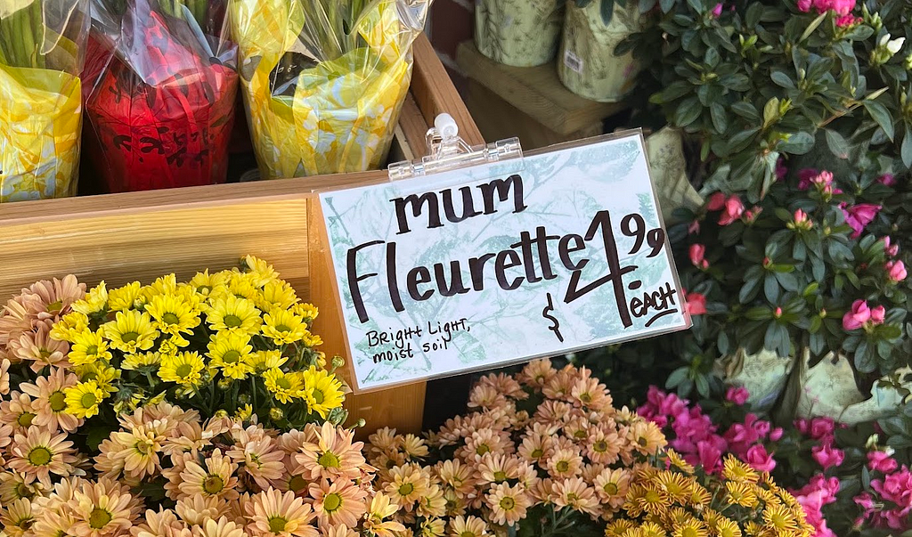 Product tag that says “Mum Fleurette (bright light, moist soil)”