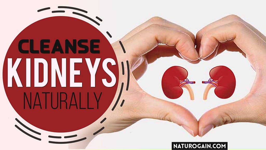 Cleanse Kidneys Naturally