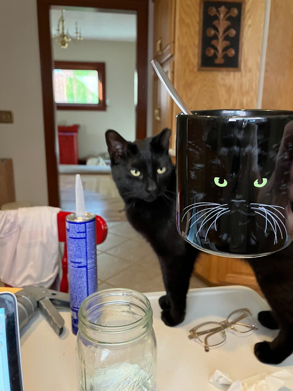 A black mug with a cat’s face on it being held up with an actual black cat standing in the background.