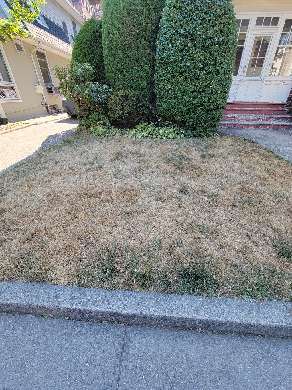 A front lawn, the grass of which is dried and brown.