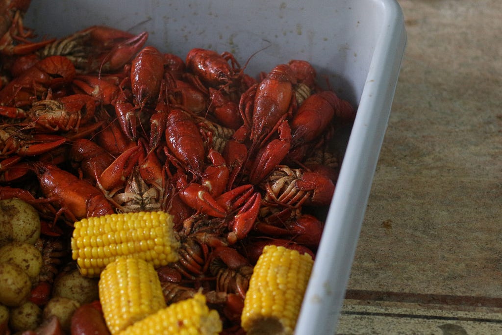 cooked crayfish, corn and potatos